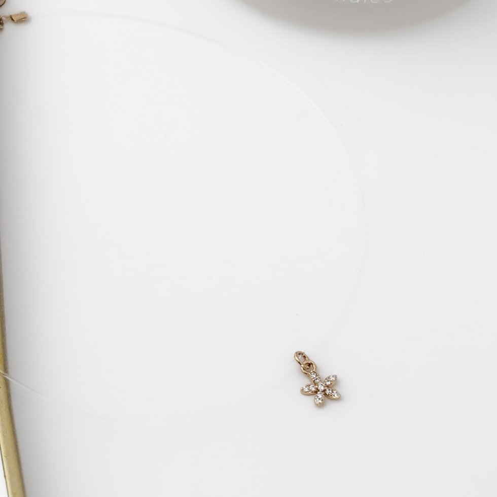 Choker Ponto de Luz - Flor Microzircônia